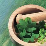 上海中医医术确有专长人员2019年报考名单权威发布