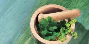 上海中医医术确有专长人员2019年报考名单权威发布