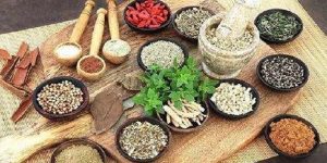 上海科学技术普及奖的设立，推动中医师承高速发展