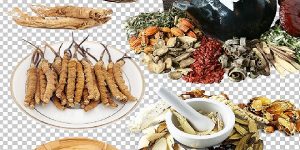 上海中医师承3年和5年有何不同