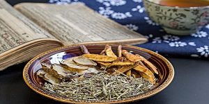 上海中医师承条件