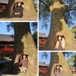 以DeepSeek为代表的AI（人工智能）真能取代千年中医吗？