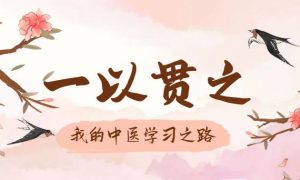 古承学堂记录上海计算机学霸是如何利用跨界思维自学中医